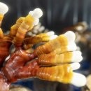 영지2농장 이미지