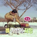 스튜디오84 이미지