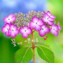 한주 Daum카페