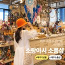 제주 기념품 뭐 살지 고민된다면? 제주 중문 소품샵 소랑아시 쇼핑 후기 (feat. 이찬원)