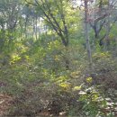 두산리 경로당 이미지