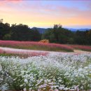 가산수피아 이미지