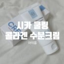 Amimong(아미몽) | 바르는콜라겐 수분크림추천 아미몽 수분크림