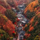 Edgar Tuniyants ⑧ - Autumn in Feelings. Autumn Without You. etc 13곡 이미지