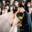 마리에가든 이미지