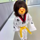 경희대 아이스타 태권도장 이미지