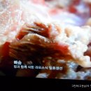 생선나라 이미지