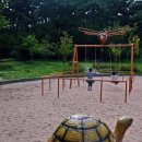 대교어린이공원 이미지