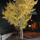 황토우렁쌈밥 이미지