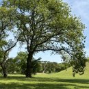 진평왕릉 화장실 이미지