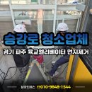 동안육교 하부 | 경기 파주 육교엘리베이터 승강로 먼지제거 청소 업체 후기