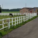 혜정목장 이미지