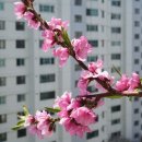 꿈꾸는 언덕 이미지