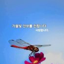 단순함과 간소함에 대하여 이미지