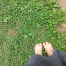 봉정사길 200게스트하우스 이미지