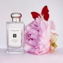 조말론 피오니 앤 블러쉬 스웨이드 향수 내돈내산 솔직 후기💐첫향부터 여운까지!