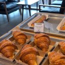 리버피크닉 | 가평데이트 대형카페 리버레인 솔직후기(애견동반⭕️, 두쫀쿠판매)