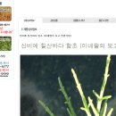 김금순농장 이미지