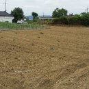 다현농장 이미지