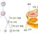 난초혜 이미지