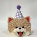 댕글로리 이미지