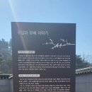 임재화 | 포항12경 명소 중 ,가족여행지로 자녀와 함께 가볼만한 곳 '장기 유배문화 체험촌'과 '장기 읍성...