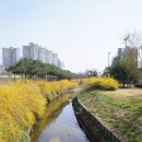 천안축구센터작은도서관 | 오늘은 가볍게.