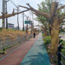 백로공원 화장실 이미지