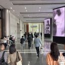 시니어 모델 | 한국경제신문 집코노미 콘서트 2025 양일 다녀왔습니다(강연 및 부스)