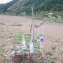 다래골농장 이미지