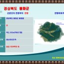 봉화공인중개사사무소 | 매매" 경상북도 봉화군 봉화읍 햇볕잘들고 외부간섭...#주말농장토지 #귀촌전원부지 #산촌오지땅 봉화-2654