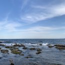 블랑도도 이미지