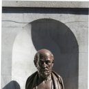 하쿠나마타타 이미지