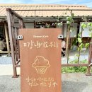 (주)동부한농 동해공장 | 강릉 주문진 도깨비시장 카페 강냉이소쿠리