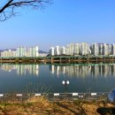 리버카페 | 미사리 한강뷰 카페 미사리리버 , 분위기 좋아요~