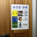 한옥펜션수진당 | [에버랜드펜션 추천] 용인펜션 한옥펜션 수진당 숙박솔직후기