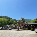 돌고개늘품 이미지