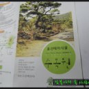 [주전마을]대왕암공원,울기등대 Daum카페
