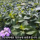 (주)샤우트