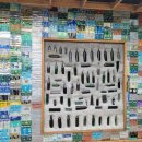 온평동로 이미지