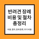 장례엔 이미지