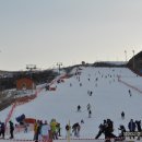2011년 전국 눈썰매장 46곳