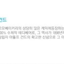 모모베이커리