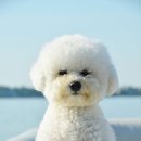 에코동물병원 이미지