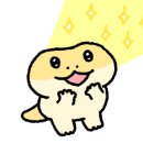 게코포레스트