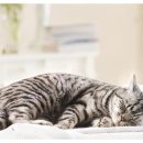 썬빌리지(Sun Village) 이미지