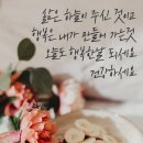 오늘도 이미지