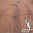 산정체육공원 이미지