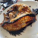 오동동041 이미지