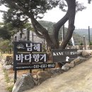 카누720애견풀빌라 | 남해 애견동반펜션 : 카누720 풀빌라